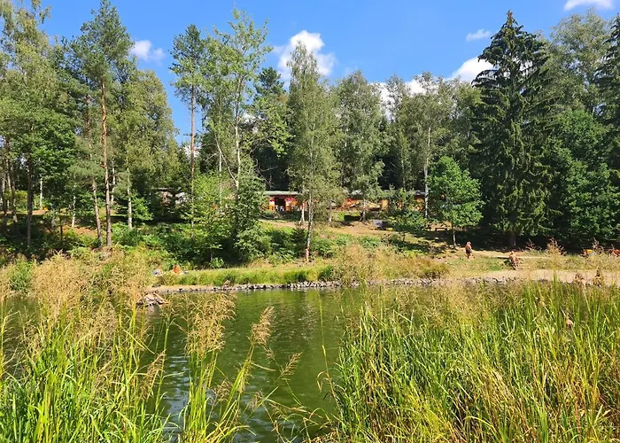 Arosa Ruzova