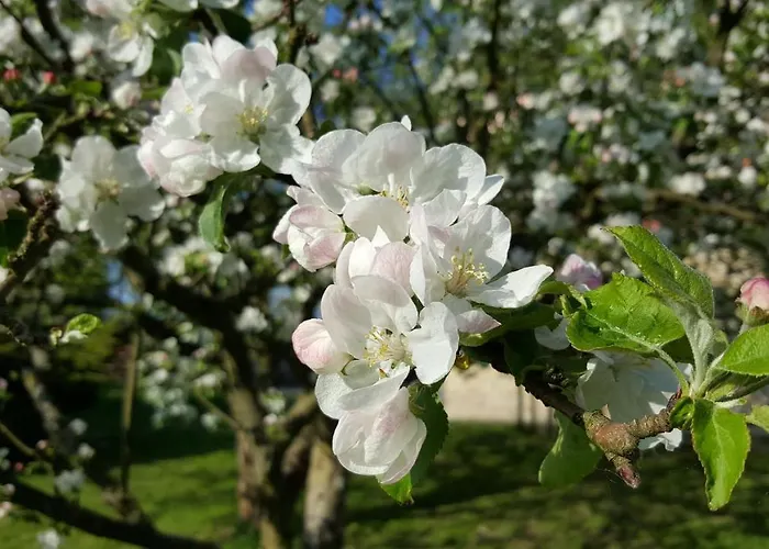 בית כפרי Arosa Ruzova